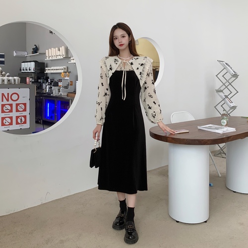 D.M梦琪(囡囡小语） DMMZZZXY816