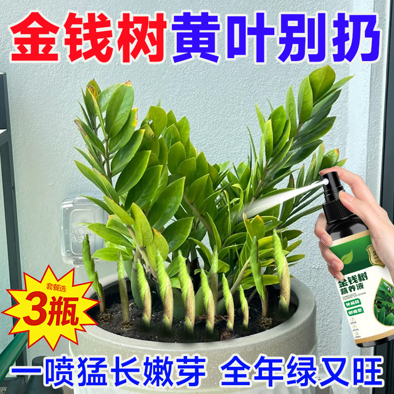 金钱树专用营养液生根爆芽催芽防黄叶免稀释优质液体肥植物肥料