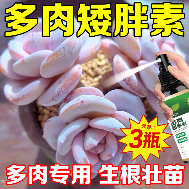 多肉矮胖素爆芽素叶面肥优芽不发芽植物园急救叶片改善发焉助爆芽