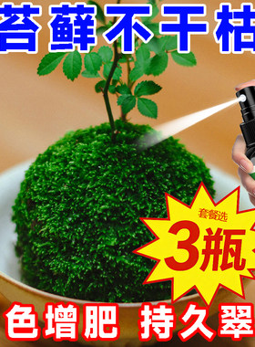 苔藓专用营养液青苔通用免稀释即喷型懒人绿植绿叶植物养护花肥