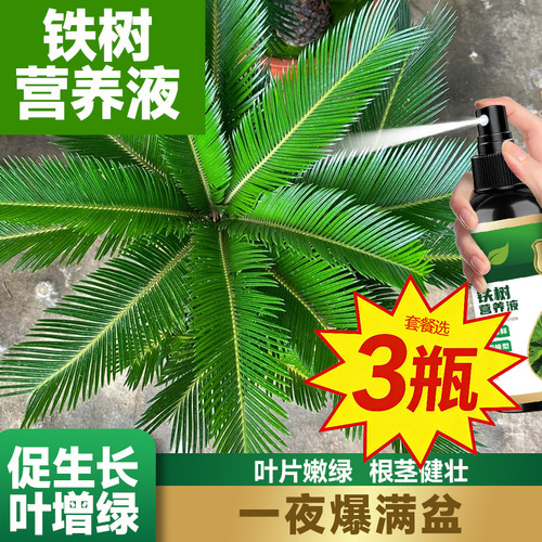 铁树专用营养液促生根发芽快速生长助植株疯长翠绿枝繁叶茂
