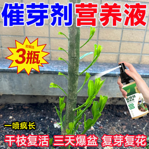 催芽剂通用植物营养液治不发芽弱苗促爆芽开花生根催芽素体肥液体