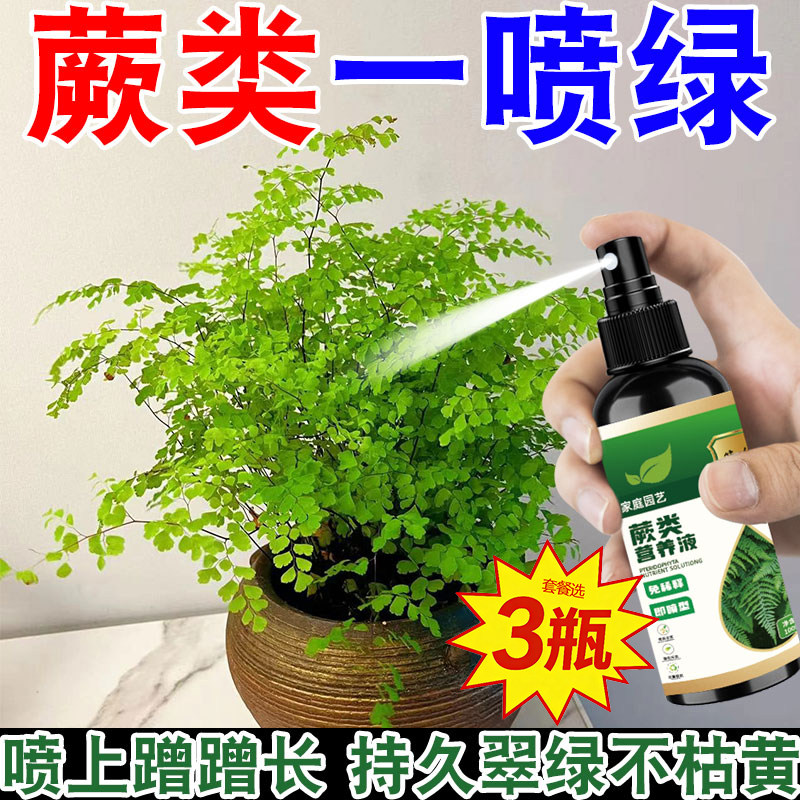 蕨类植物专用营养液免稀释调节生长防发黑根弱叶落室内盆栽肥绿植