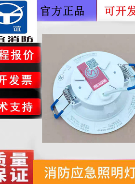 台谊消防集中控制型应急灯具 TY-ZFJC-E6WT51嵌入式消防灯具正品