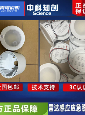 中科知创应急照明灯雷达款 KW-ZFJC-E3W-7110CL/7111CL青鸟消防新