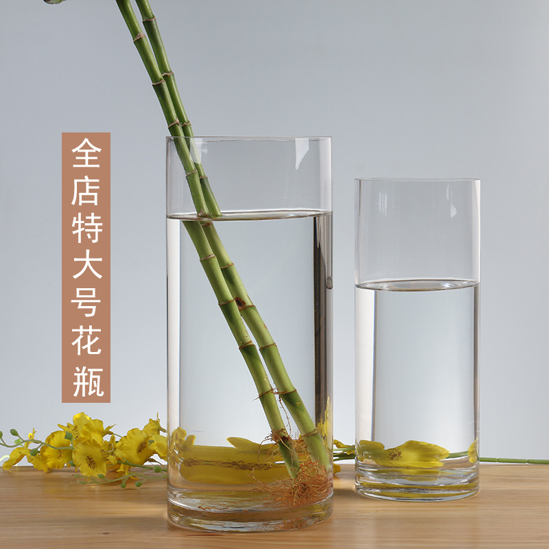 特大号圆形落地玻璃花瓶透明鲜花百合富贵竹花瓶家用客厅插花摆件