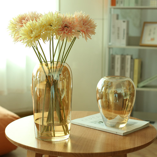 淇鹏简约玻璃花瓶客厅插花