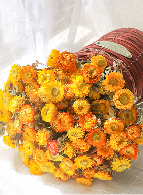 小雏菊干花花束客厅摆设干鲜花高级真花风干天然黄色插花装饰摆件