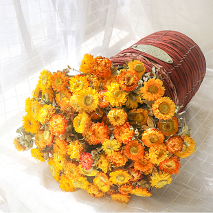 饰摆件 小雏菊干花花束客厅摆设干鲜花高级真花风干天然黄色插花装