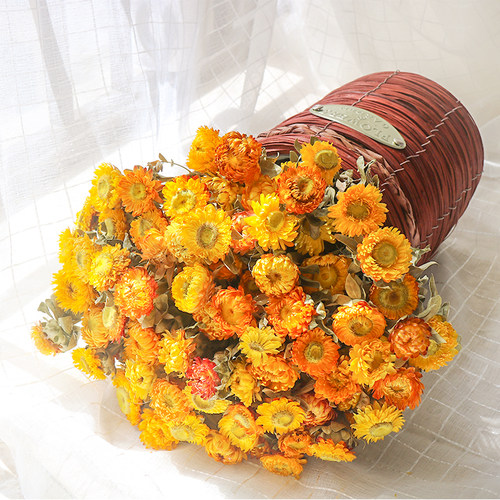 天然小雏菊干花真花风干干花束