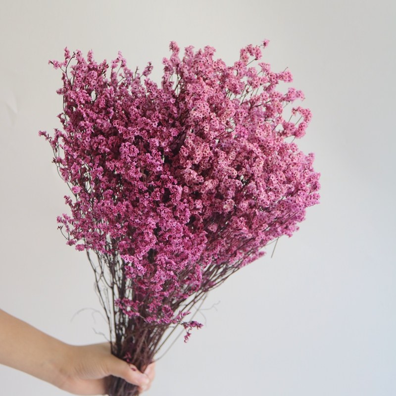 水晶草真花风干天然干花花束客厅摆设家居装饰摆件永生干燥花乾花