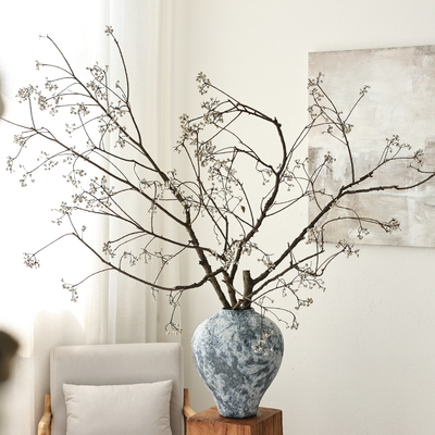 特大枝乌桕果天然树枝干枝干花