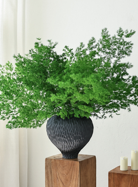 绿色蓬莱松永生花高级感真花干花花束天然风干鲜花干树枝花瓶插花