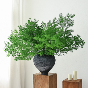 绿色蓬莱松永生花高级感真花干花花束天然风干鲜花干树枝花瓶插花