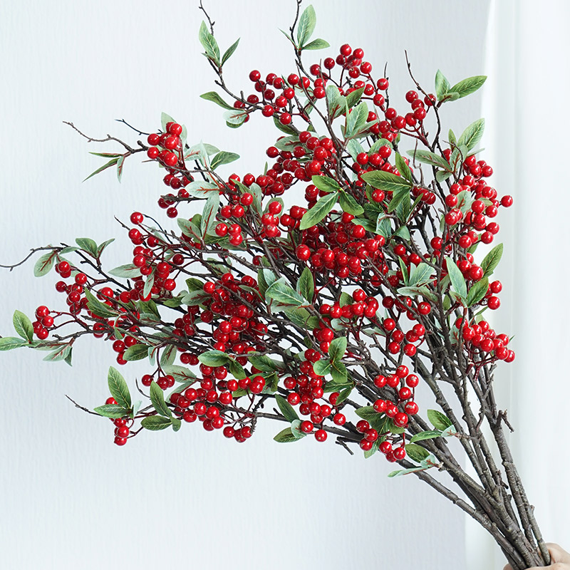 冬青红果发财果红红火火