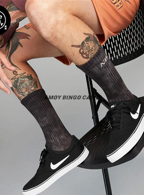 Nike耐克SB Chron 男女复古运动休闲滑板鞋 CD6278 DM3493 DM3494