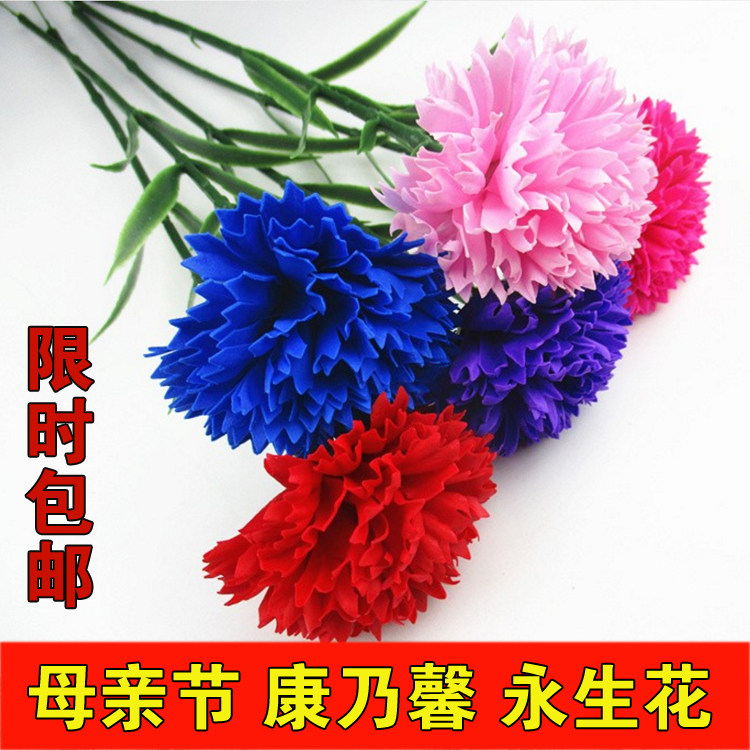 母亲节520情人节礼物单只支康花艺材料