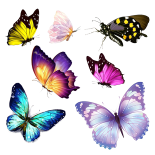 车贴个性车身贴纸划痕遮挡遮盖蝴蝶创意汽车遮盖贴画保险杠装饰贴