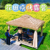 民宿农家烧烤凉亭仿真茅草亭子四柱民宿庭院花园休闲遮阳棚稻草棚