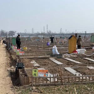 共享菜园小木屋户外收纳柜子全实木防水防晒民宿休闲区布置工具房