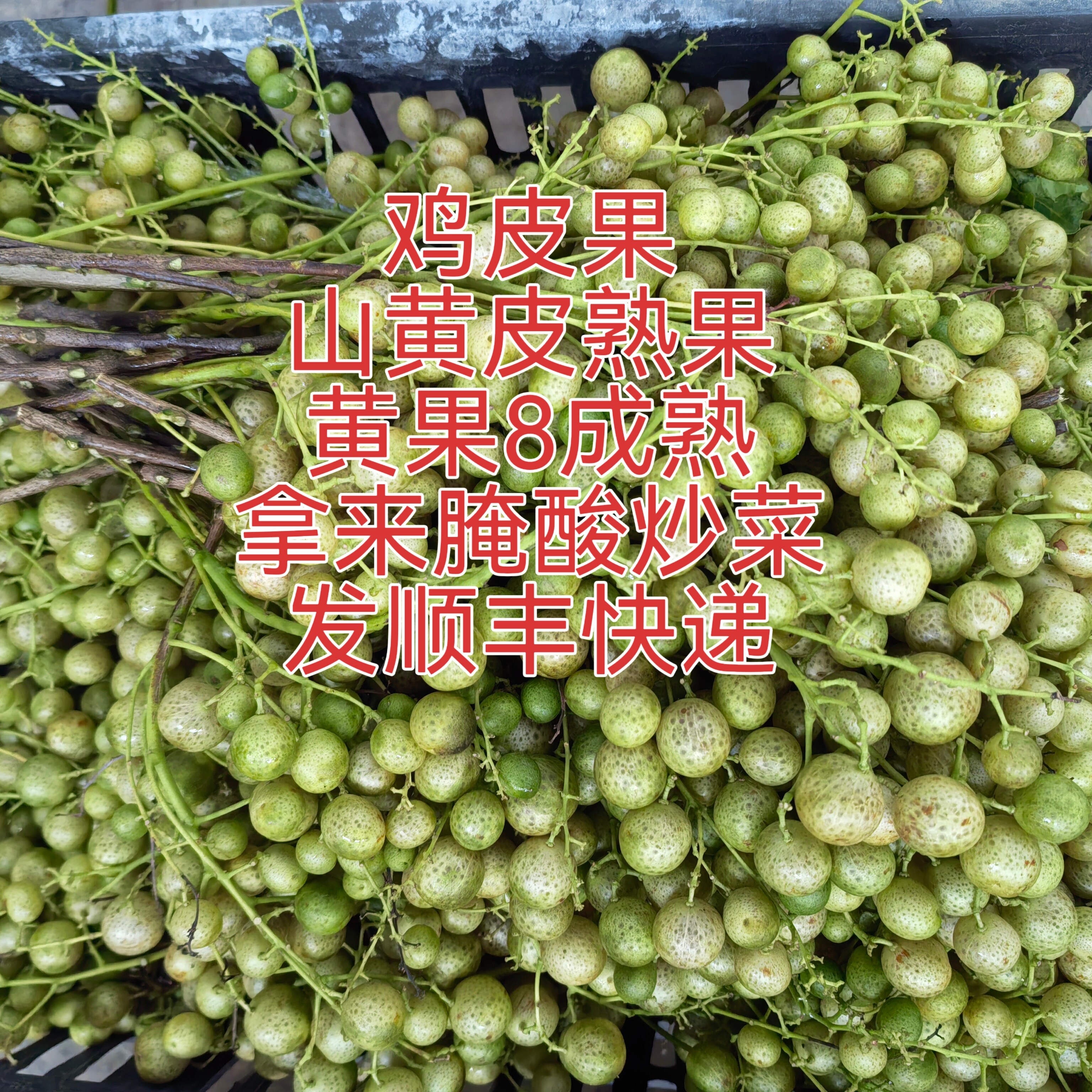 发顺丰快递广西山黄皮熟果新鲜摘鸡皮果带枝发货做腌酸炒菜泡酒用