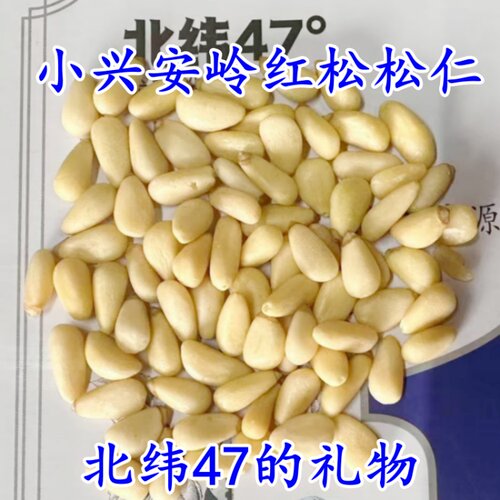 红松松仁籽小兴安岭粒大香脆伊春产地发货松子红松果子松塔