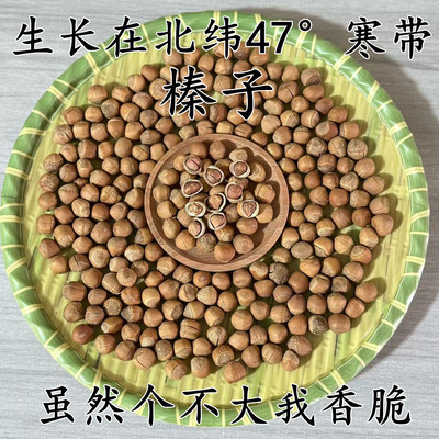 原味榛子东北小兴安岭特产山货坚果火榛子薄皮小水漏榛子伊春特产
