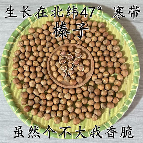 原味榛子东北小兴安岭特产山货坚果火榛子薄皮小水漏榛子伊春特产