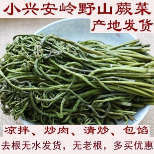 腌制蕨菜龙爪菜野山菜绿色咸盐制农家凉拌特产小兴安岭特产
