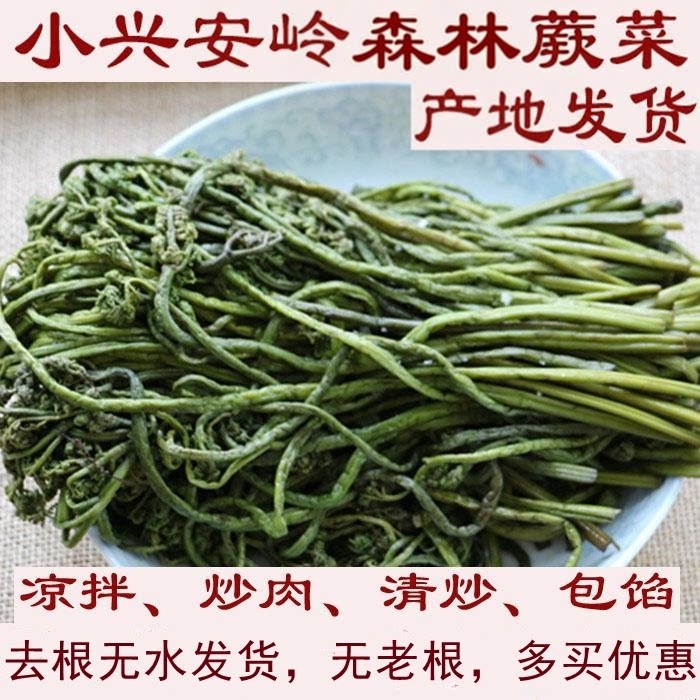 腌制蕨菜龙爪菜山菜绿色咸盐制农家凉拌特产小兴安岭特产