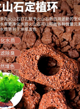 过滤除臭水草固定种植环懒人造景定植环鱼缸装饰火山岩底座火山石