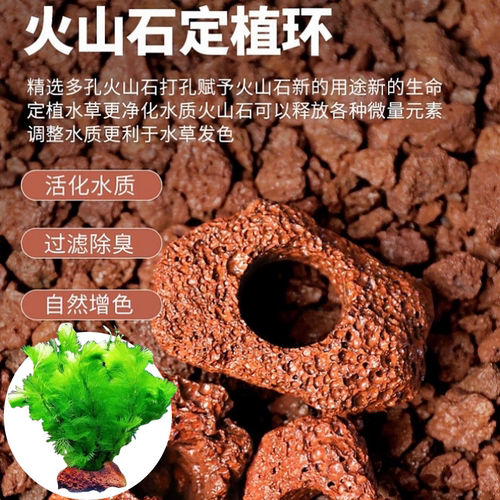 火山石水草种植环懒人造景定植环