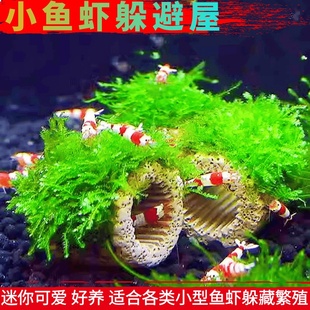 观赏虾孔雀鱼幼鱼繁殖罐躲避罐莫斯水草躲避屋鱼缸造景陶瓷小摆件