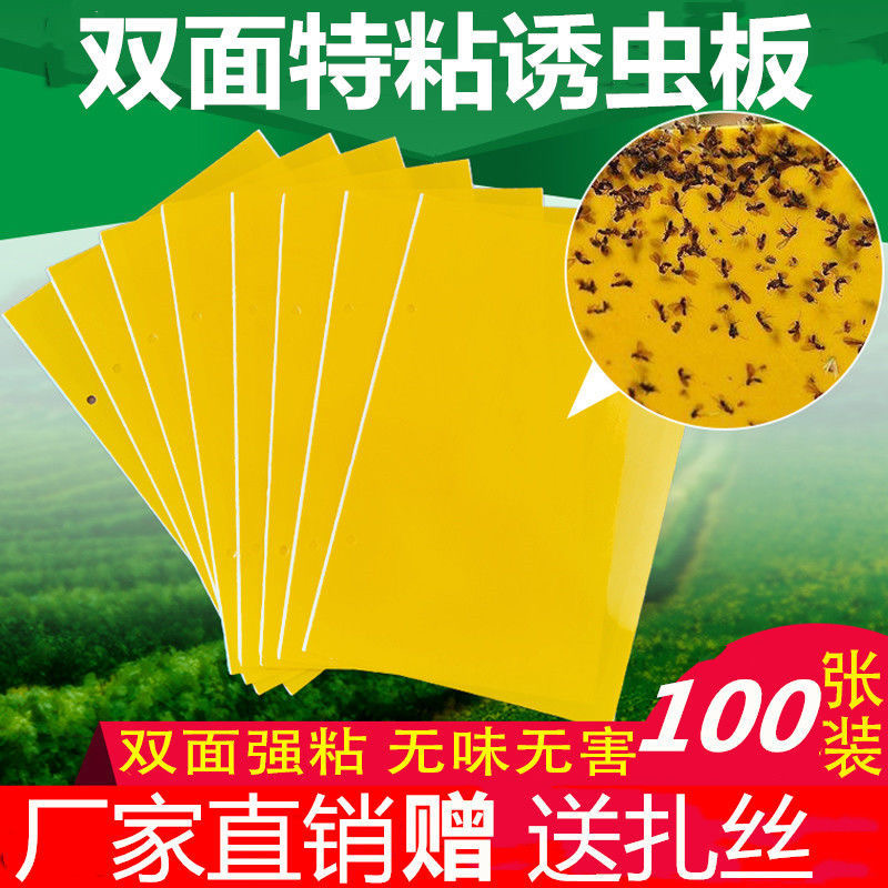 强力粘虫板灭蝇纸粘蚊纸灭蚊灯粘纸粘捕式灭蚊灯粘虫板
