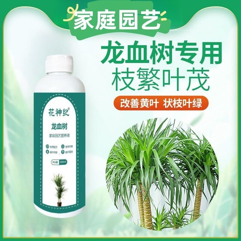 龙血树龙须树专用营养液肥料治黄叶掉叶干尖室内绿植盆栽复合肥