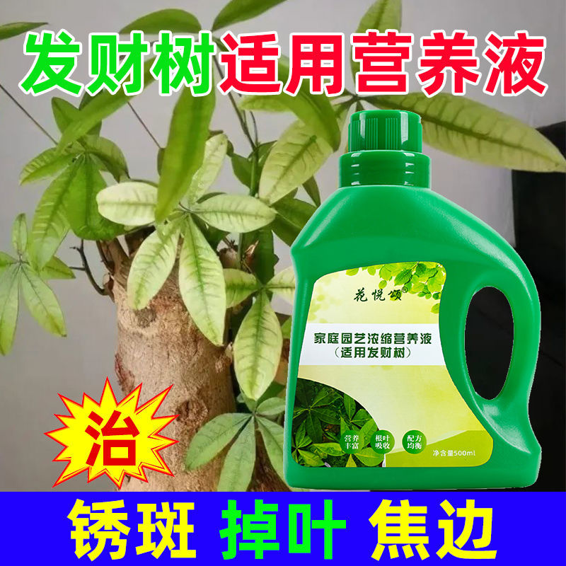 发财树营养液兰花绿植养花通用型肥料用治烂根黄叶促开花