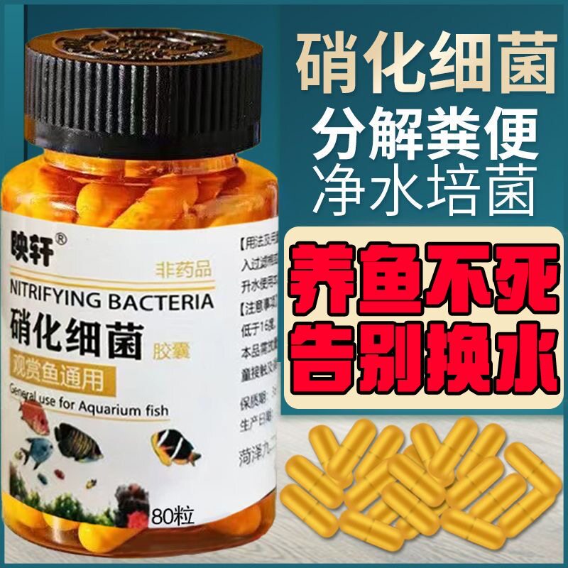 买1发2养鱼用品观赏鱼硝化细菌胶囊鱼缸去腥臭味净化水质降解氨氮