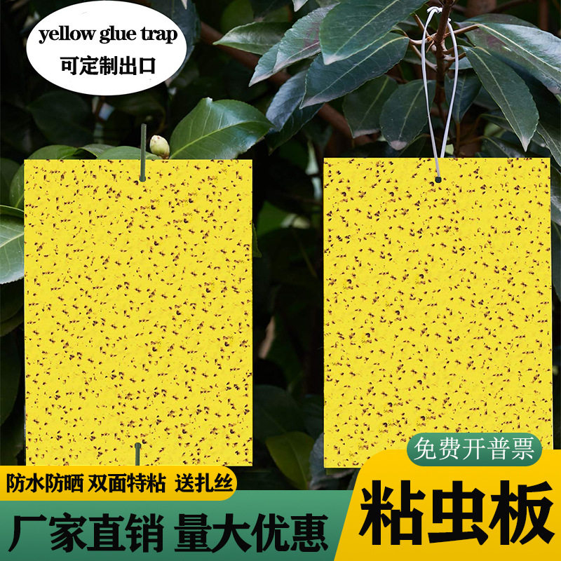 粘虫板厂家黄板诱虫板果园大棚专用双面蓝板蓟马白粉虱黏虫板