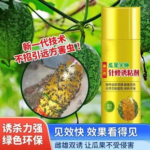 瓜果实蝇针锋克星诱粘剂黄板大棚粘虫板双面胶昆虫引诱剂