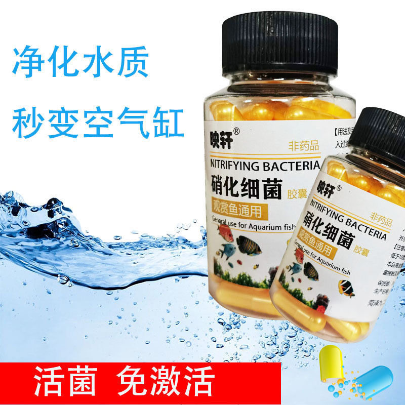 拍一发五硝化细菌水质稳定剂活菌鱼缸去腥水质打造空气缸降解氨氮