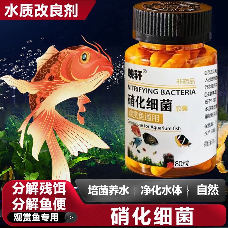 到手2瓶鱼缸用品硝化细菌胶囊鱼缸去腥臭味净化水质打造降解氨氮