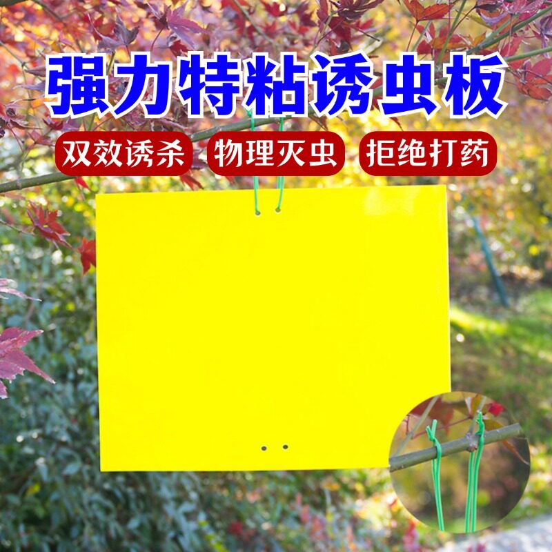 黄板双面粘虫板诱粘剂大棚专用双面诱虫粘飞虫阳台小黑飞大棚果蝇