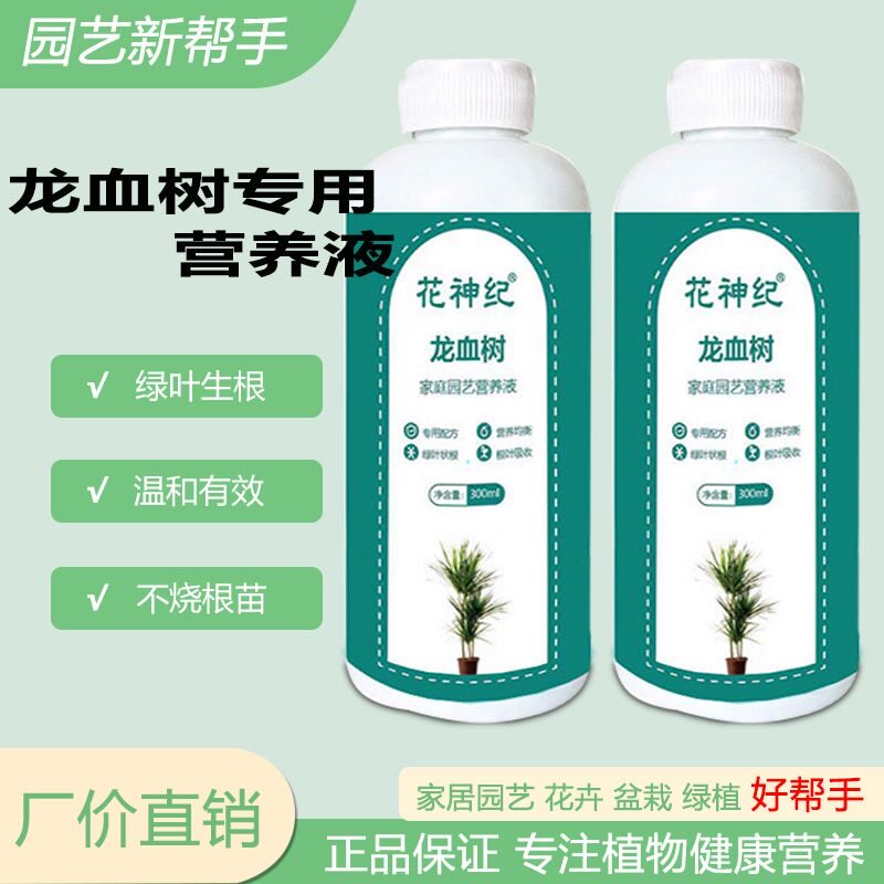 拍1发5龙须树龙血树肥料专用肥营养液治黄叶掉叶干尖室内绿植盆栽