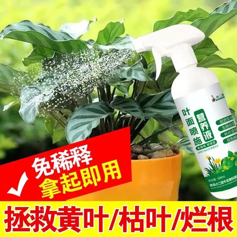 叶面喷施营养液一喷绿花肥黄叶变绿氨基酸叶面肥园艺肥料