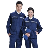 Комбинезон, нарукавники, комплект для работы, осенний