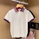 夏季 新款 镂空透气修身 法式 男款 男 polo衫 奢华拼色条纹翻领t恤短袖
