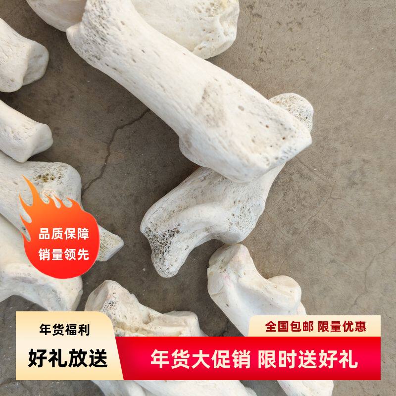 骨头吊坠项链女男毛衣链复古文艺百搭饰品时尚腿拐骨化石老化