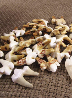 牙吊坠双根牙大牙动物牙 齿男女转运黑牙婴儿正宗黑汪汪