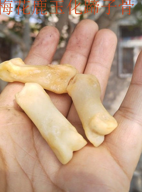 转运狗男鹿蹄子骨个性的很