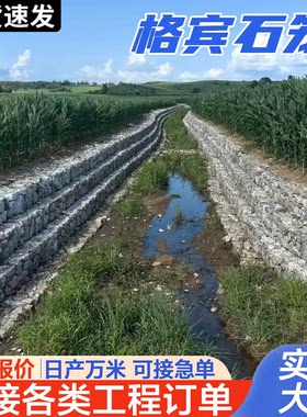 格宾石笼网网箱防洪镀锌铅丝固滨笼雷诺护垫河道防汛宾格网卷